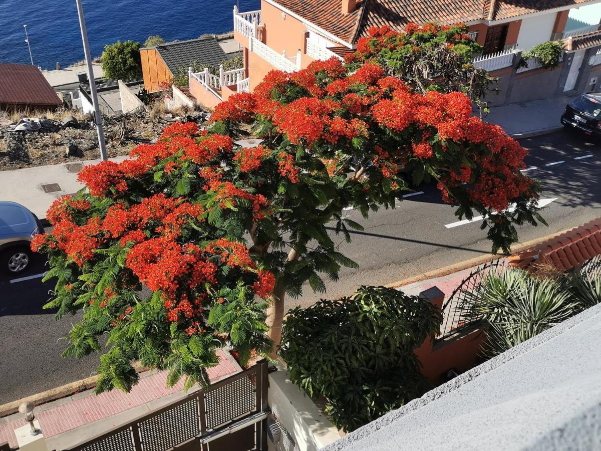 Vila Balcon De Costanera Santa Cruz de Tenerife Exteriér fotografie